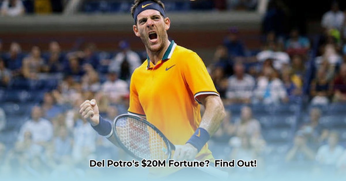 del-potro-net-worth